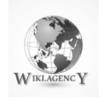 wiki agency logo1